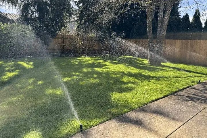 Irrigation Sprinklers & Maintenance
