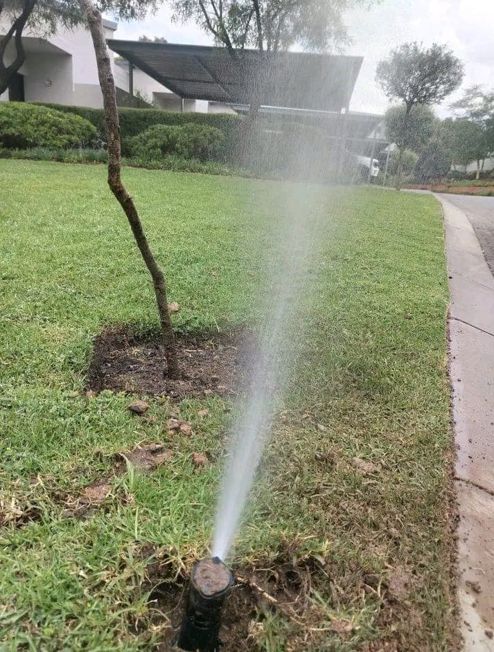 Irrigation Sprinklers & Maintenance